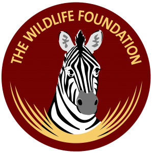 Local wildlife. Donation Foundation Wildlife.
